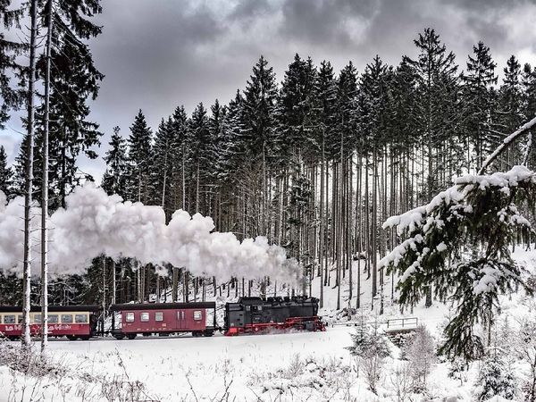 2 Tage durch den Schnee-verzauberten Harz in Stadt Stolberg (Harz), Sachsen-Anhalt inkl. Halbpension Unkategorisiert online kaufen 2 Tage durch den Schnee-verzauberten Harz in Stadt Stolberg (Harz), Sachsen-Anhalt inkl. Halbpension Unkategorisiert online kaufen