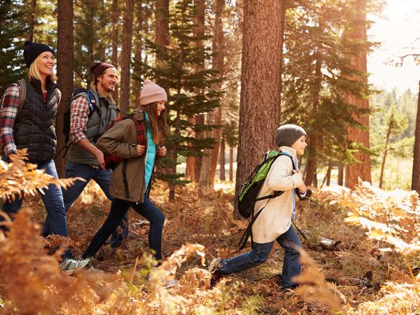 6 Tage Familiensommer Special im re.vita / Harz in Bad Lauterberg, Niedersachsen inkl. Halbpension Plus Unkategorisiert online kaufen 6 Tage Familiensommer Special im re.vita / Harz in Bad Lauterberg, Niedersachsen inkl. Halbpension Plus Unkategorisiert online kaufen