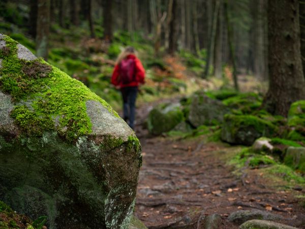 Langzeit Schläfer in Thale - 8 Tage, Sachsen-Anhalt inkl. Frühstück Unkategorisiert online kaufen