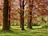 Schönste Park- und Grünanlagen im herrlichen Harz in vollen Zügen erleben