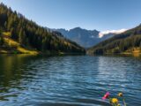 Entdecken Sie die schönsten Seen im Harz – Natur pur!
